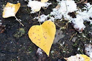 7 Principles of Happy Living – #2 Giving